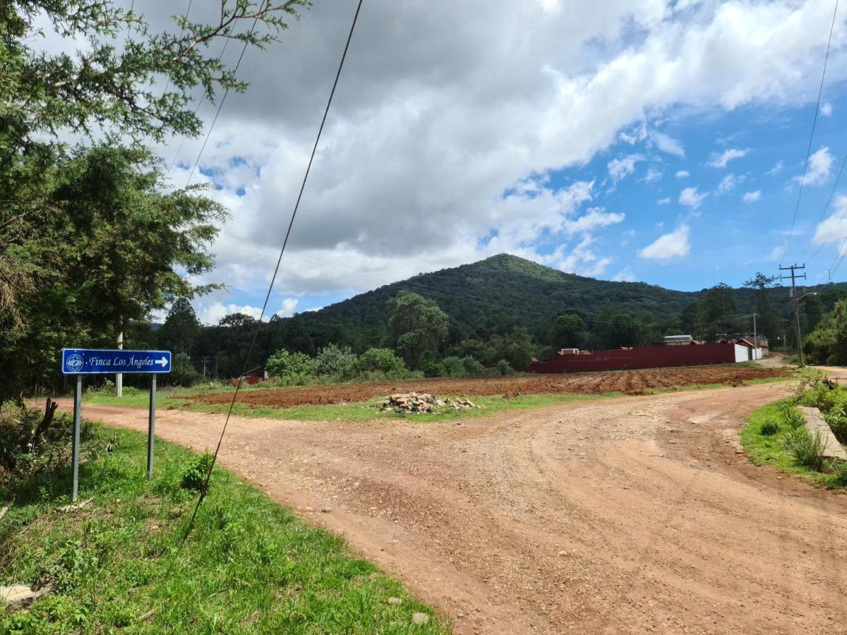 Finca Los Angeles Hospederia & Sociales Huasca de Ocampo Dış mekan fotoğraf