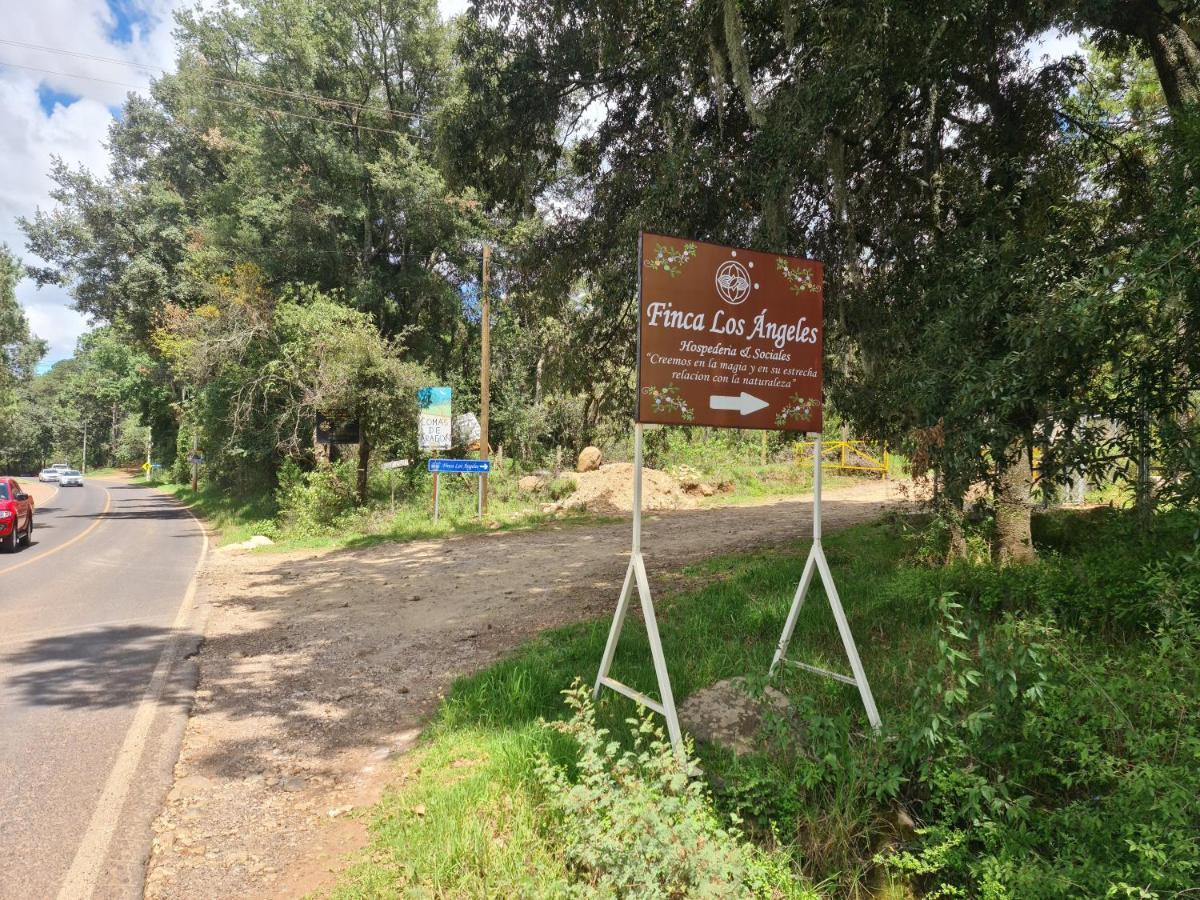 Finca Los Angeles Hospederia & Sociales Huasca de Ocampo Dış mekan fotoğraf